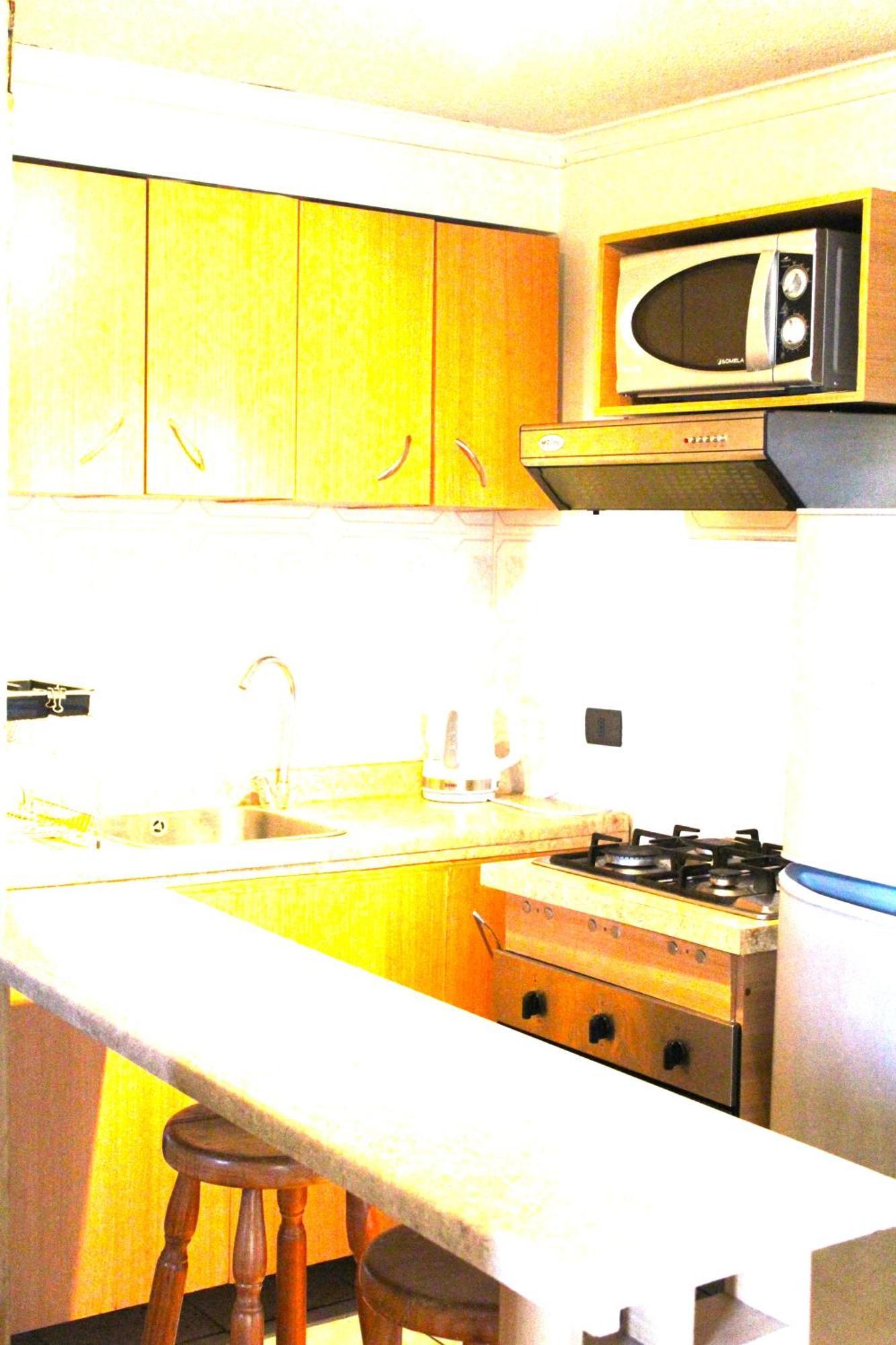 Apartment Gran Departamento Amoblado A Pasos Del Movistar Arena, Ubicado En Nataniel Cox